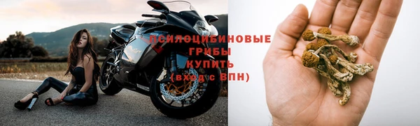 соль курить ск Богданович