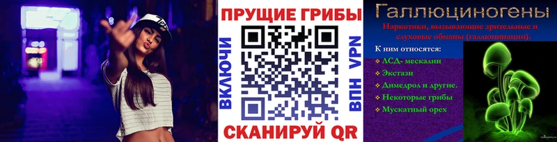 Галлюциногенные грибы мицелий  закладки  Макаров 